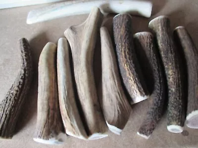 £11.49 • Buy Antlers Dog Chews.suitable For Puppies Or Small Dog .5-8 Inches. 3 Pack