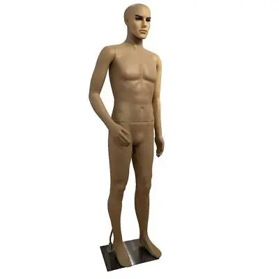 6FT Male Mannequin Display 72in Realistic Full Body Make-up Manikin /w Stand • $116.99