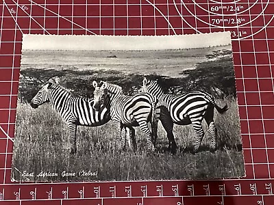 East African Game Zebra Kenya Uganda 1959 Vintage Postcard • £8