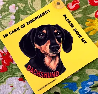 Emergency Label Save My Pet - Dachshund • $5