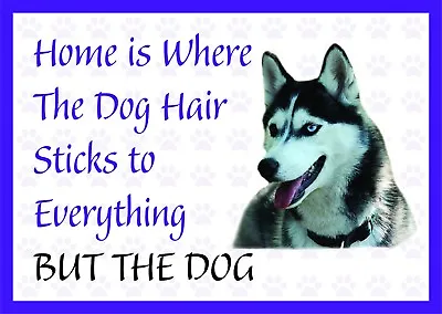 £1.93 • Buy Home Is Where The Dog Hair-Funny Husky Vinyl Car Van Decal Sticker Pets