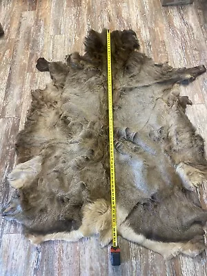 Large Elk Hide Nicely Tanned Soft 66”x51” Full Fur Great Color Rug • $209.95