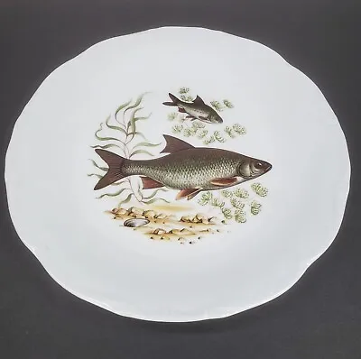 Vintage Limoges De Solonge France Porcelain Painted Fish Design 9  Dinner Plate • $27.99