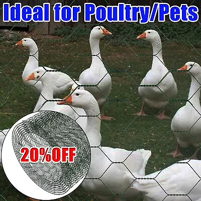 Green PVC Coated Chicken Galvanised Wire Mesh Fence Rabbit Aviary Garden Netting • £7.70