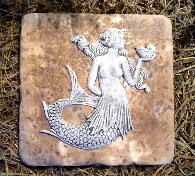Mermaid Travertine Tile Abs Plastic Mold 6  X 6  X 1/3  Thick • $16.95