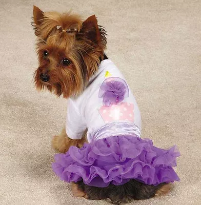 Zack & Zoey Chiffon Cupcake Tee & Skirt Set Dress T-shirt Top Tulle Ruffle Skirt • $18.50