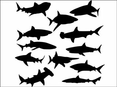 Sharks Fish Animals Silhouettes Edible Printed Cake Topper Kit Wafer Or Icing • £4.72