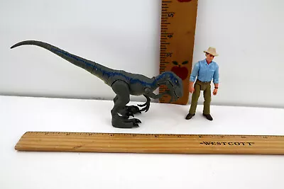 Jurassic World Legacy Collection-Dr. Alan Grant 3.75  Figure & Velociraptor Blue • $18.99