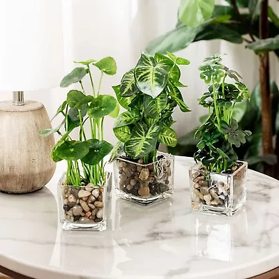 £32.62 • Buy Set Of 3 Artificial Plants, Faux Home Tabletop Greenery W/Clear Glass Cube Pots