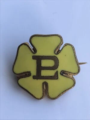 £9 • Buy Conservative Party Primrose League Brass Gilt  Enamel Pin Badge Maker W O Lewis