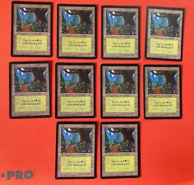 MTG Set Of 10 Beta Limited Forest B Magic: The Gathering Played Christopher Rush • $199.99