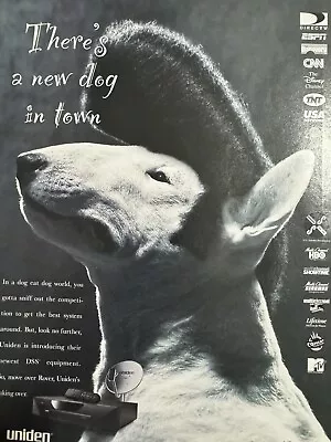 Dog With Elvis Hair Magazine Music Ad • $7.99