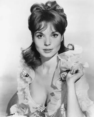 ELSA MARTINELLI  8x10  Photo • $8.99