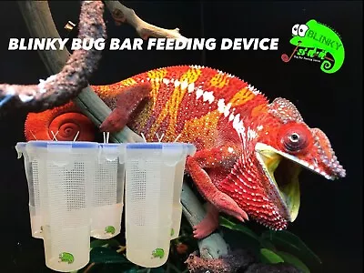 Blinky Chameleon Bug Bar Reptile Insect Feeding Cup For Crickets Locust • £12.99