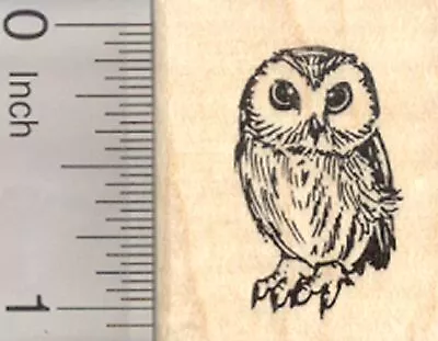 Owl Rubber Stamp Small  D25105 WM • $14
