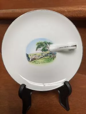 Vintage Noritake Bone China Early View Cooma Souvenir Handled Pickle Plate  Exc • $12