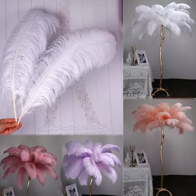 Large Natural Ostrich Feathers For DIY Wedding Party Costume Decoration 25-30cm • $5.12