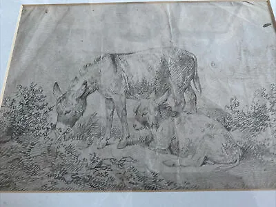 Late Victorian/ Edwardian Framed Pencil Sketch Donkeys • £24.99