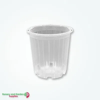 70mm Clear Orchid Pot (170ml) - Transparent Plastic Pot For Phalaenopsis Orchids • $26.99