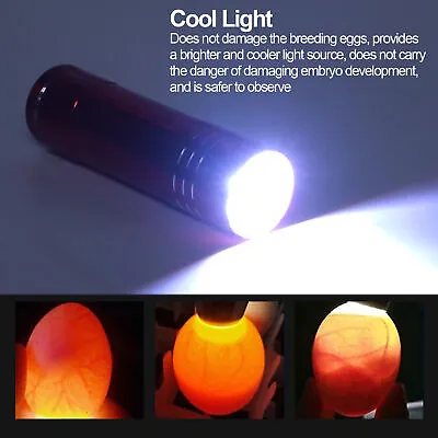 Egg Tester LED Cool Light Egg Candler Lamp Incubator For Duck Eggs Goose Egg Aus • £7.63