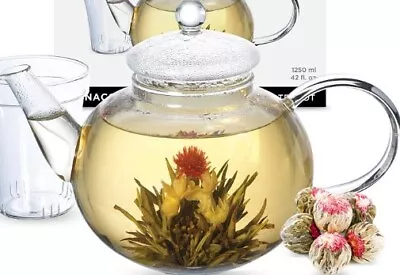 GROSCHE Monaco Glass Teapot With Glass Tea Infuser (Teapot & Glass Infuser Only) • $3