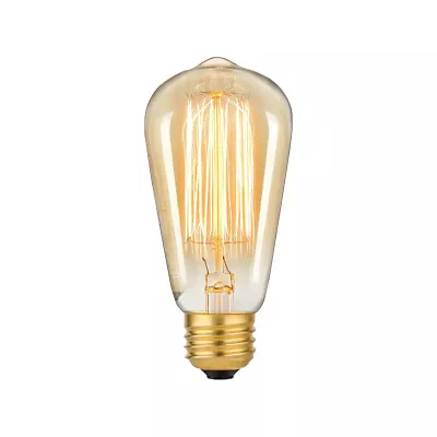 1/3/6-Pack ST58 E26 Vintage Edison Bulb 40W/60W Filament Light Bulb 2200K US • $6.99