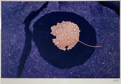$1199.99 • Buy ERNST HAAS Vermont, 1969