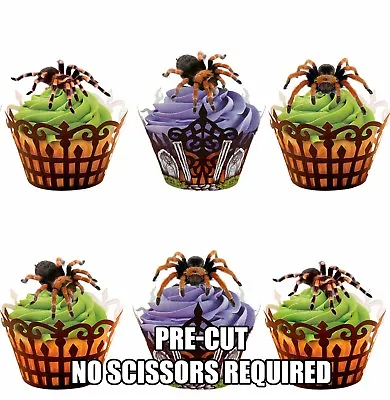 PRE-CUT Tarantula Spiders Edible Cup Cake Toppers Decorations Halloween Birthday • £3.75