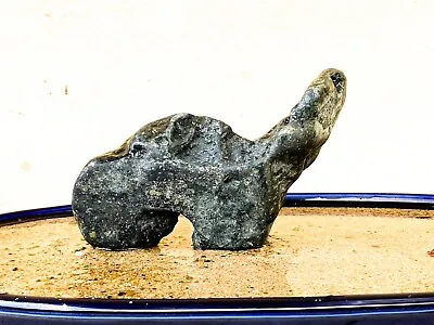 Natural Polished Viewing Stone Suiseki - Animal Figure - Japanese Art • $45