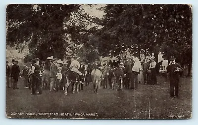 £2.49 • Buy Postcard Donkey Rides Hampstead Heath Whoa Mare 1907 Wimbledon Address Star Ser