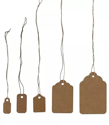 100 Pcs Kraft Jewelry Paper Price Tags Khaki Tags With Strings Many Size • $6