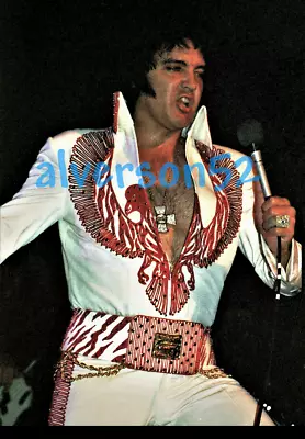 ELVIS PRESLEY CONCERT PHOTOGRAPH - HUNTSVILLE AL - MAY 31 1975 (Evening Show   • $3.79