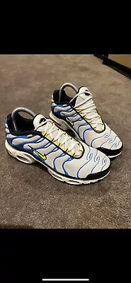 Nike Tn Air Max Plus • $200