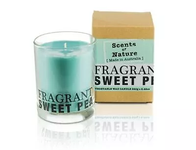 Scents Of Nature Soy Candle 240 G - Fragrant Sweet Pea By Tilley FG1257 • $26.75