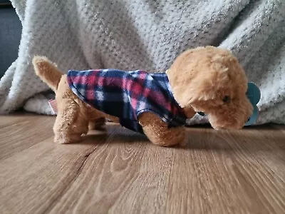 Snuggles DACHSHUND Sausage Dog With Tartan Coat Soft Plush Toy • £10