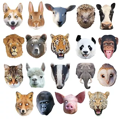 Animal Masks 2D Card Party Mask Zoo Farm Theme Fancy Dress Jungle Costume • £3.99