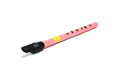 £8.95 • Buy Irish Made Pink Feadog D Flageolet Tin Brass Penny Whistle In D