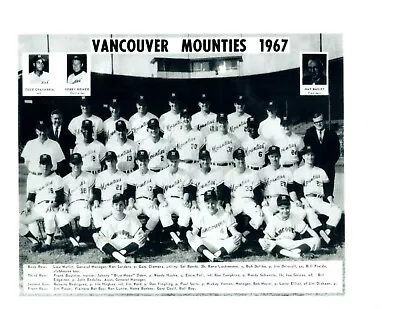 1967 Vancouver Mounties  Baseball Team  Photo Canada Combined Shipping • $5.95