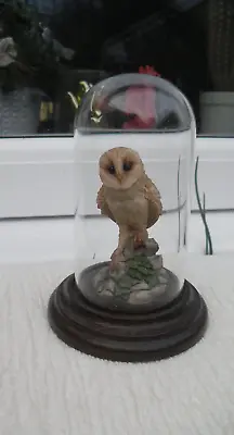 LOVELY   Country Artist Owl Under Glass Dome. • £4.99