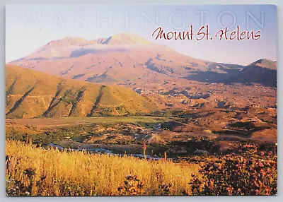 Mount St. Helens Washington WA Volcano Scenic View Vintage 6x4 Postcard B18 • $7.95