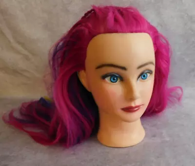 Mannequin Head W/ Hair For Hairdressing Practice/ Training • $25