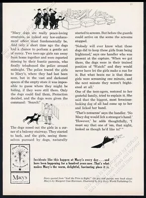 1958 Doberman Pinscher Guard Dog Art & Story Macy's NYC Store Vintage Print Ad • $12.14