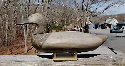 Ca 1890 -1910 Canvasback Hen Decoy Sam Barnes Havre De Grace Maryland 100% Orig • $203.50