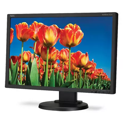 22  Inch NEC MultiSync E222W Widescreen LCD Monitor (1680x1050 DVI VGA Black) • £44.90