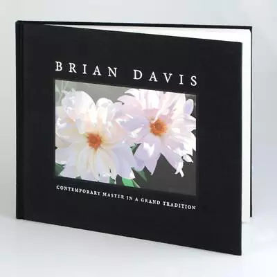 Brian Davis Contemporary Master In A Grand Tradition Fine Art Book • $75