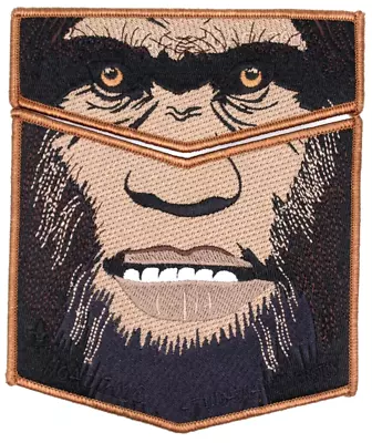 2018 NOAC Trader Bigfoot Lodge 620 Flap Set Glacier's Edge Patches Wisconsin OA • $45