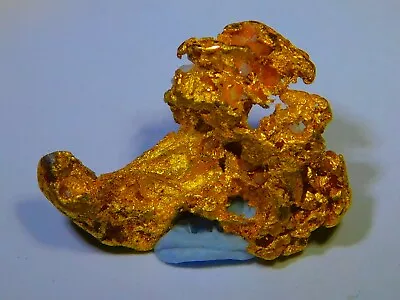 STUNNING Australian  Gold Nugget Specimen ( 2.49 Grams ) . In Display Pod. • $355