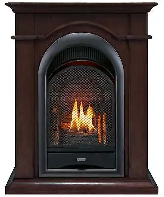 ProCom Dual Fuel Vent Free Gas Fireplace System - 15000 BTU PCS150T-CH • $579.99