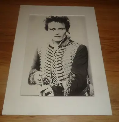 ADAM ANT-1981 Mounted Picture • £9.99