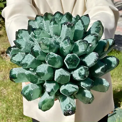 10.2LB Natural Beatiful Green Quartz Crystal Cluster Specimen Healing • $4.25